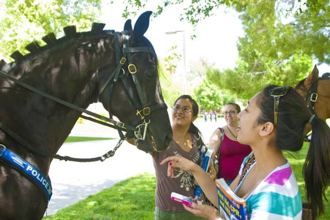 UNLV police horse Rebel, pictured doing outreach on campus last year, was retired to a local ranch and his equine partner Pride sent to work with an Arizona police department after the university's mounted unit suspended operations due to a "staffing issue" earlier this fall.